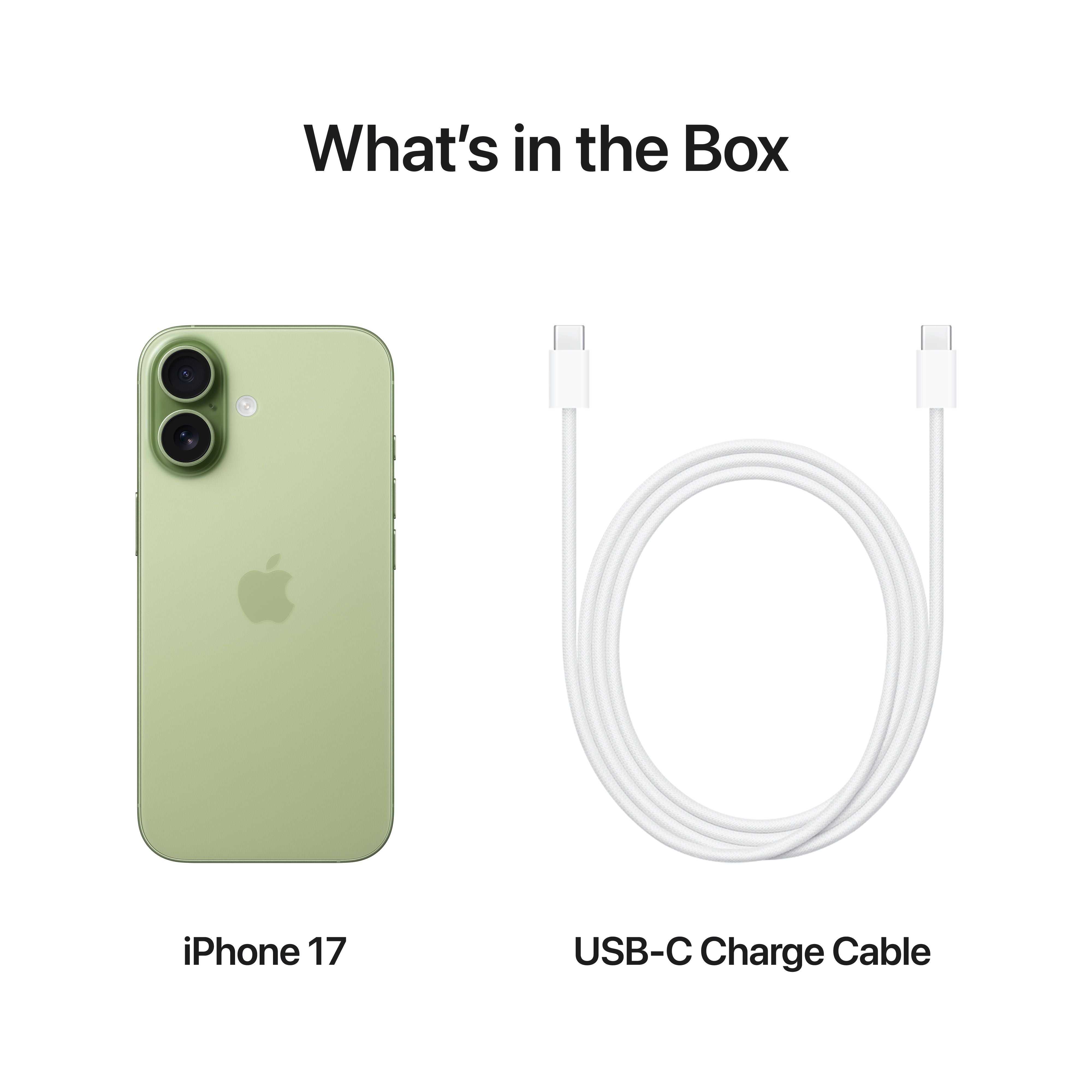 iPhone 17 (One year local warranty + VAT Registered)