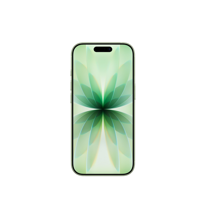 iPhone 17