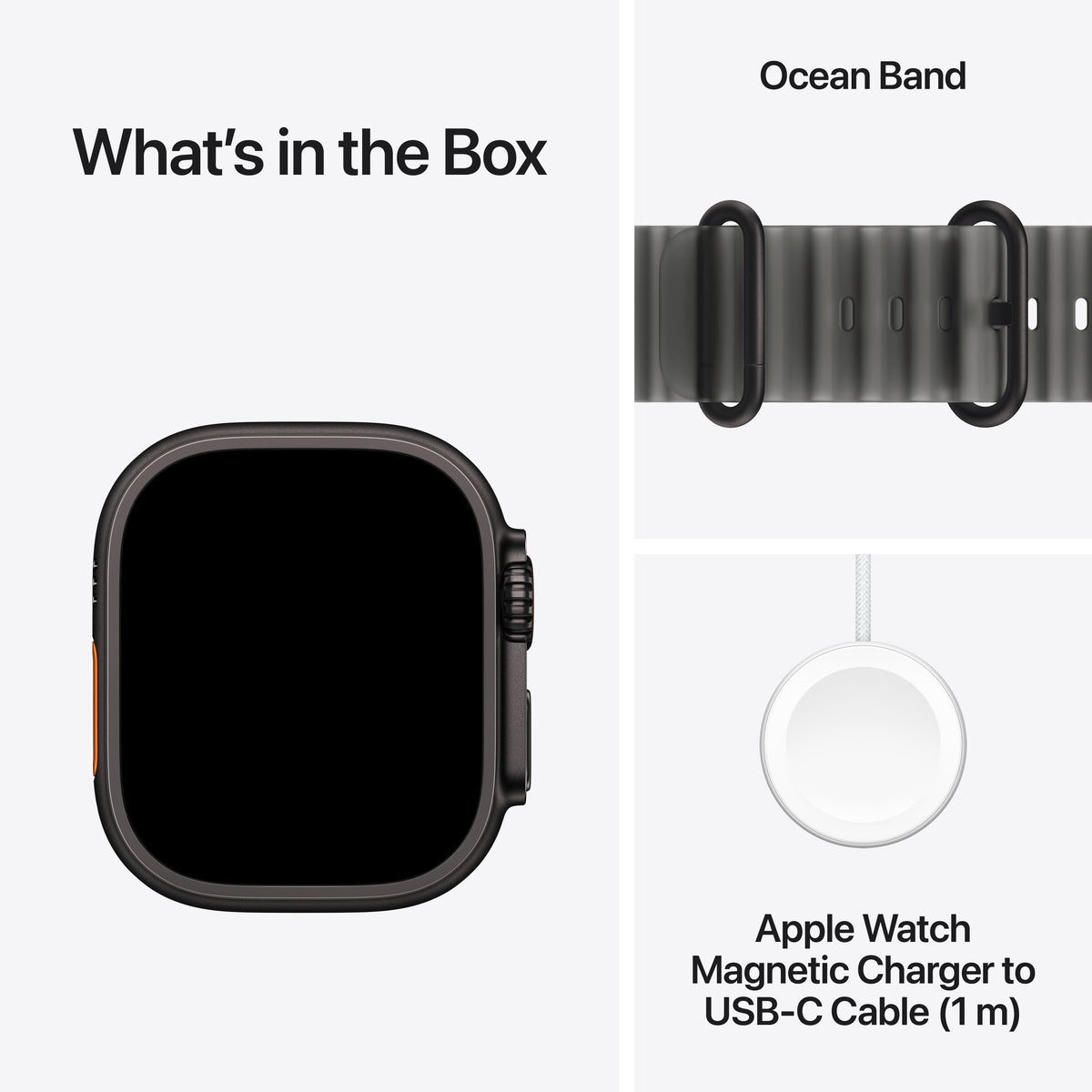 Apple Watch Ultra 4 - Black Titanium 49mm with Translucent Black Ocean Band 