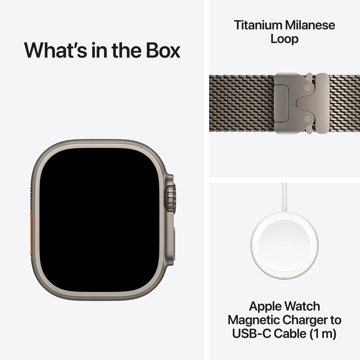 Apple Watch Ultra 4 - Natural Titanium Milanese Loop 