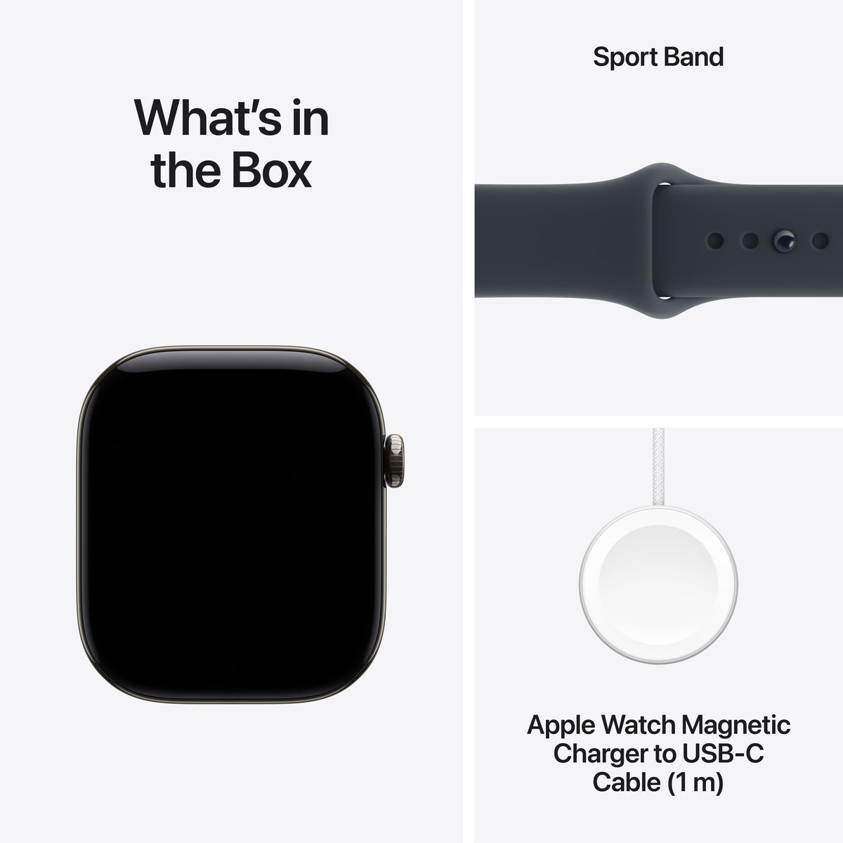 Apple Watch Series 12 - Natural Titanium 42mm 
