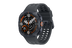 Titanium Gray