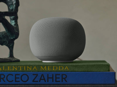 Google Home Speaker (2026) - Hazel 